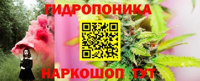 прущий лед Кингисепп