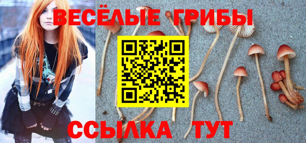 Краснотурьинск  Псилоцибиновые грибы прущие грибы  Вход с VPN 